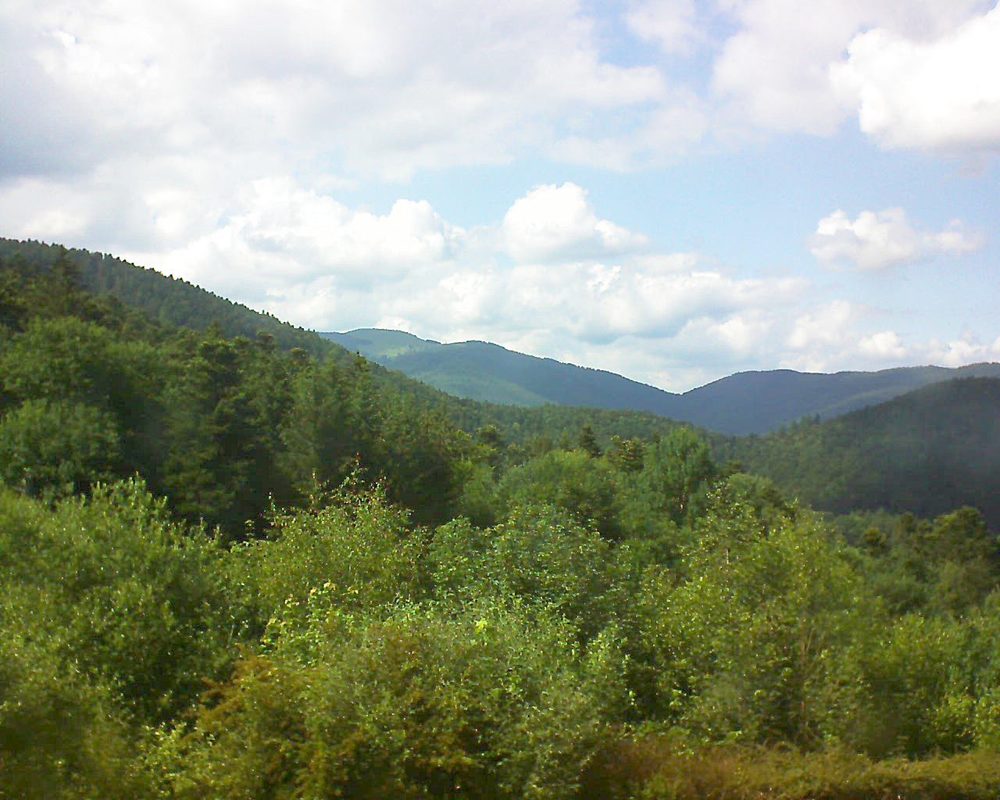 Le petit ballon vu depuis le Domaine Langmatt à Murbach le 15.06.2018 à 16:30 Le petit ballon (Alsace, Vosges) le 15.06.2018 à 16:30