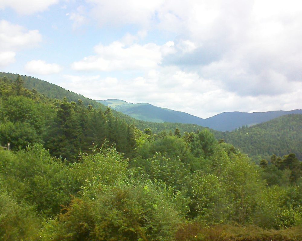 Le petit ballon vu depuis le Domaine Langmatt à Murbach le 18.06.2018 à 11:30 Le petit ballon (Alsace, Vosges) le 18.06.2018 à 11:30
