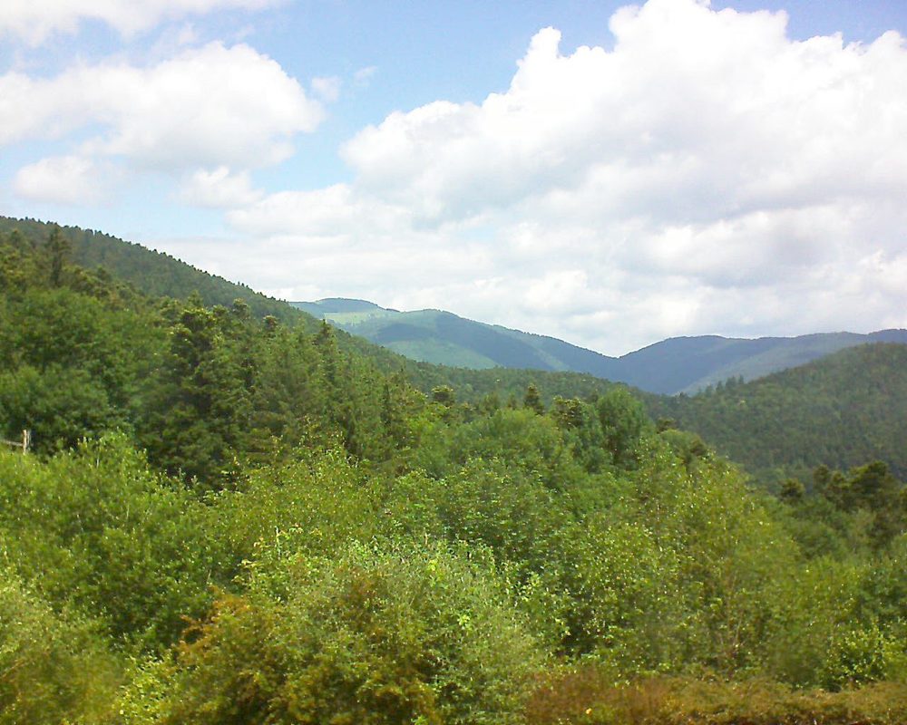 Le petit ballon vu depuis le Domaine Langmatt à Murbach le 18.06.2018 à 12:15 Le petit ballon (Alsace, Vosges) le 18.06.2018 à 12:15