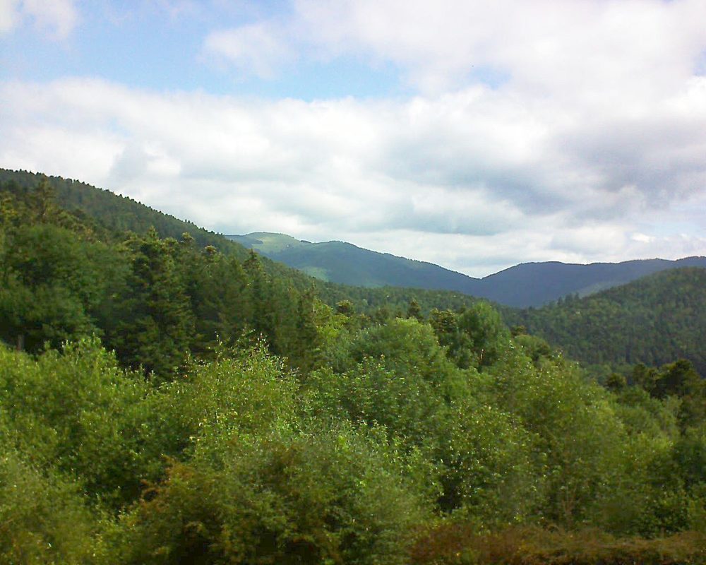 Le petit ballon vu depuis le Domaine Langmatt à Murbach le 19.06.2018 à 10:30 Le petit ballon (Alsace, Vosges) le 19.06.2018 à 10:30