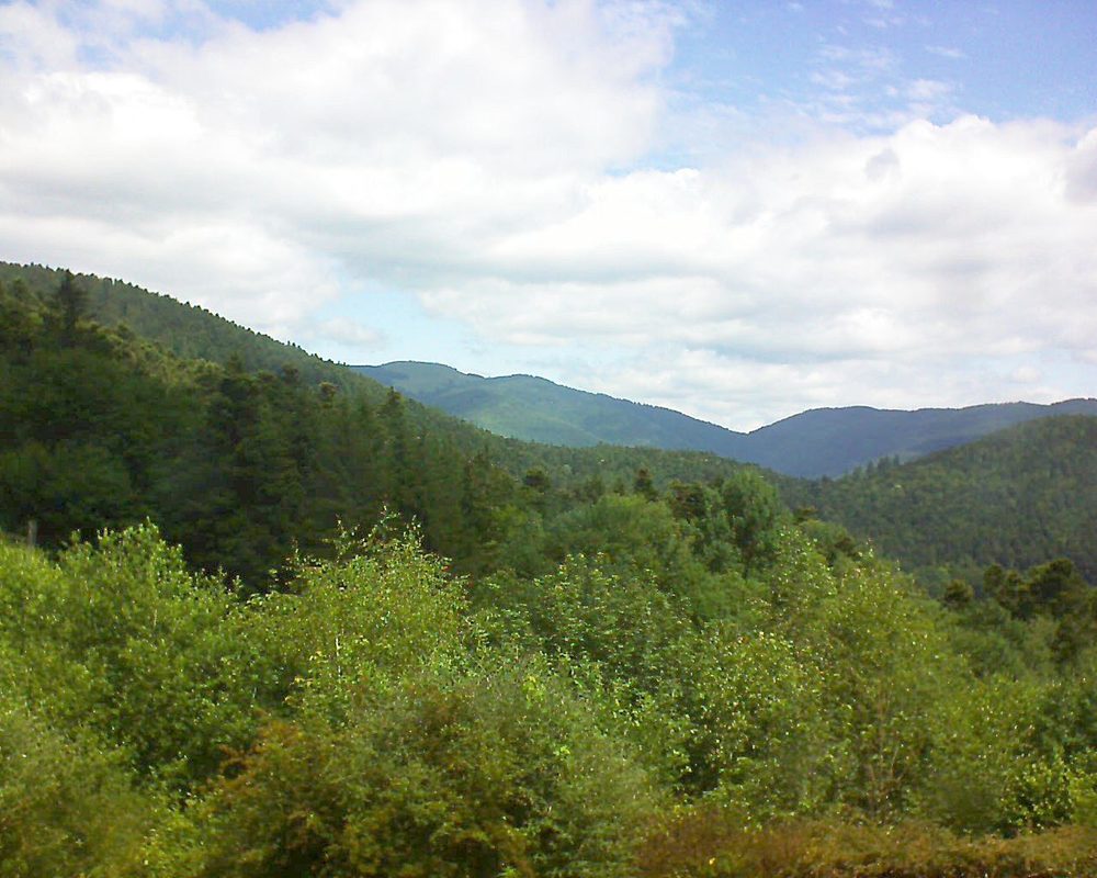 Le petit ballon vu depuis le Domaine Langmatt à Murbach le 19.06.2018 à 11:45 Le petit ballon (Alsace, Vosges) le 19.06.2018 à 11:45