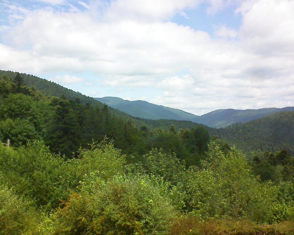 Le petit ballon vu depuis le Domaine Langmatt à Murbach le 19.06.2018 à 12:30 Le petit ballon (Alsace, Vosges) le 19.06.2018 à 12:30