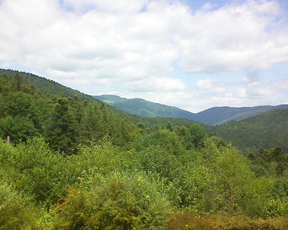 Le petit ballon vu depuis le Domaine Langmatt à Murbach le 19.06.2018 à 13:00 Le petit ballon (Alsace, Vosges) le 19.06.2018 à 13:00