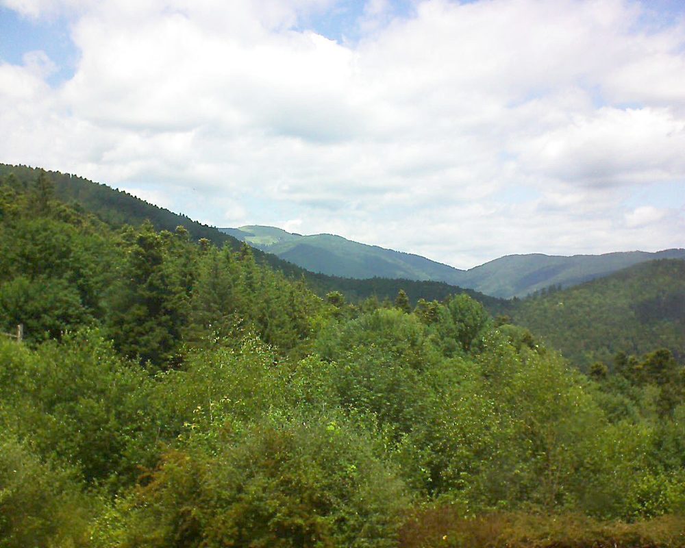Le petit ballon vu depuis le Domaine Langmatt à Murbach le 19.06.2018 à 13:15 Le petit ballon (Alsace, Vosges) le 19.06.2018 à 13:15