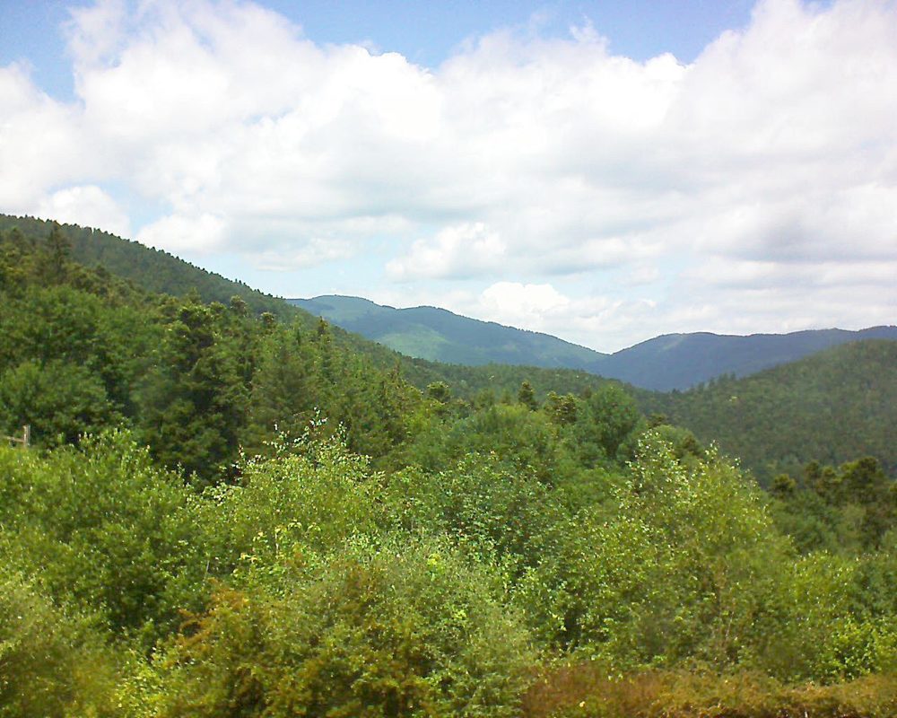 Le petit ballon vu depuis le Domaine Langmatt à Murbach le 19.06.2018 à 13:30 Le petit ballon (Alsace, Vosges) le 19.06.2018 à 13:30