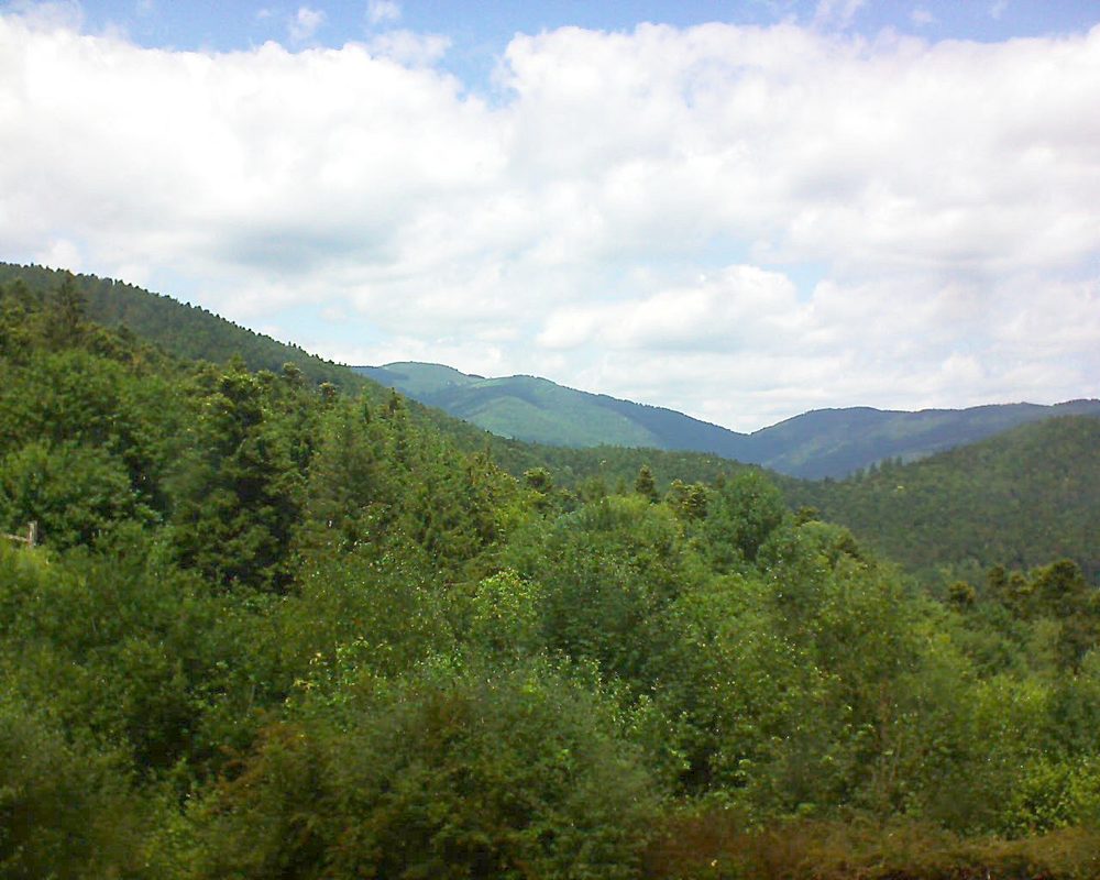 Le petit ballon vu depuis le Domaine Langmatt à Murbach le 19.06.2018 à 13:45 Le petit ballon (Alsace, Vosges) le 19.06.2018 à 13:45