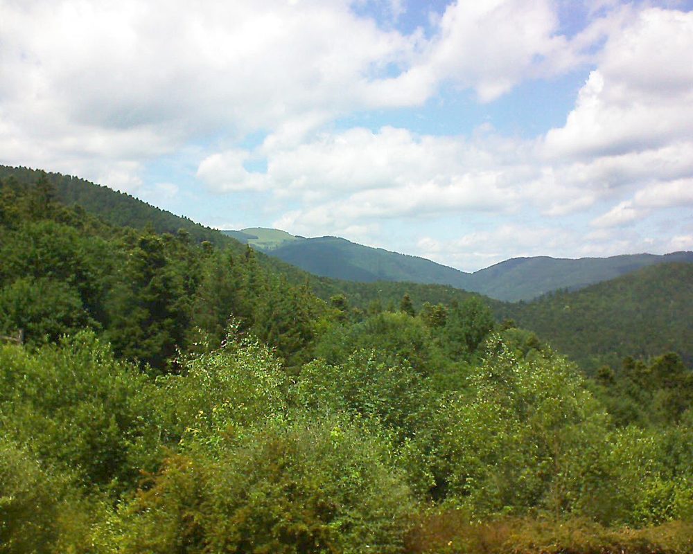 Le petit ballon vu depuis le Domaine Langmatt à Murbach le 19.06.2018 à 14:15 Le petit ballon (Alsace, Vosges) le 19.06.2018 à 14:15