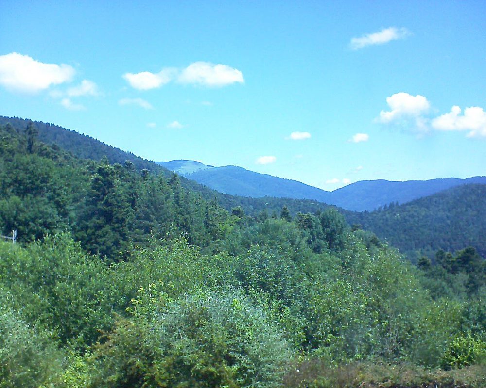 Le petit ballon vu depuis le Domaine Langmatt à Murbach le 20.06.2018 à 12:15 Le petit ballon (Alsace, Vosges) le 20.06.2018 à 12:15