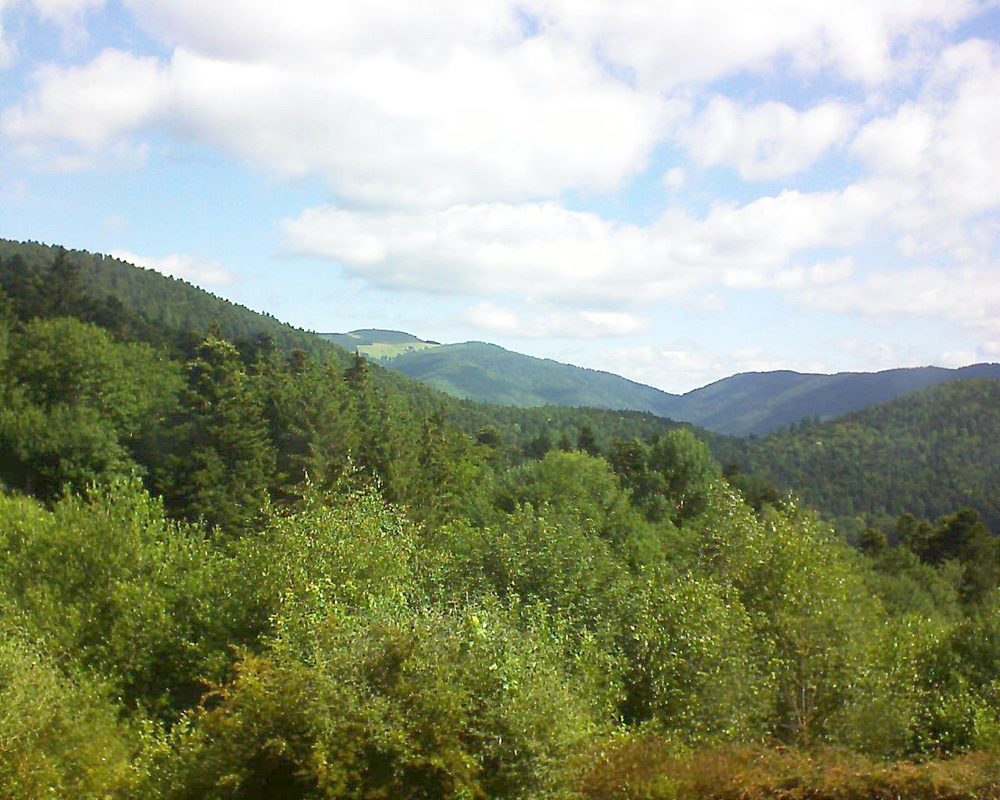 Le petit ballon vu depuis le Domaine Langmatt à Murbach le 22.06.2018 à 10:15 Le petit ballon (Alsace, Vosges) le 22.06.2018 à 10:15