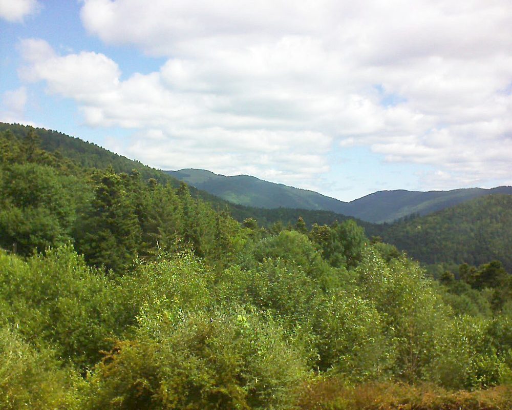 Le petit ballon vu depuis le Domaine Langmatt à Murbach le 22.06.2018 à 11:00 Le petit ballon (Alsace, Vosges) le 22.06.2018 à 11:00