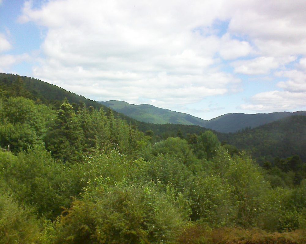 Le petit ballon vu depuis le Domaine Langmatt à Murbach le 22.06.2018 à 11:15 Le petit ballon (Alsace, Vosges) le 22.06.2018 à 11:15