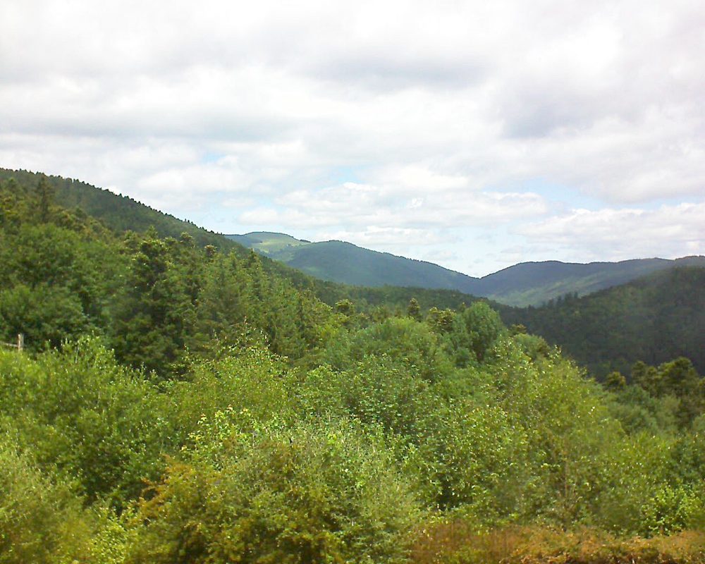 Le petit ballon vu depuis le Domaine Langmatt à Murbach le 22.06.2018 à 13:00 Le petit ballon (Alsace, Vosges) le 22.06.2018 à 13:00