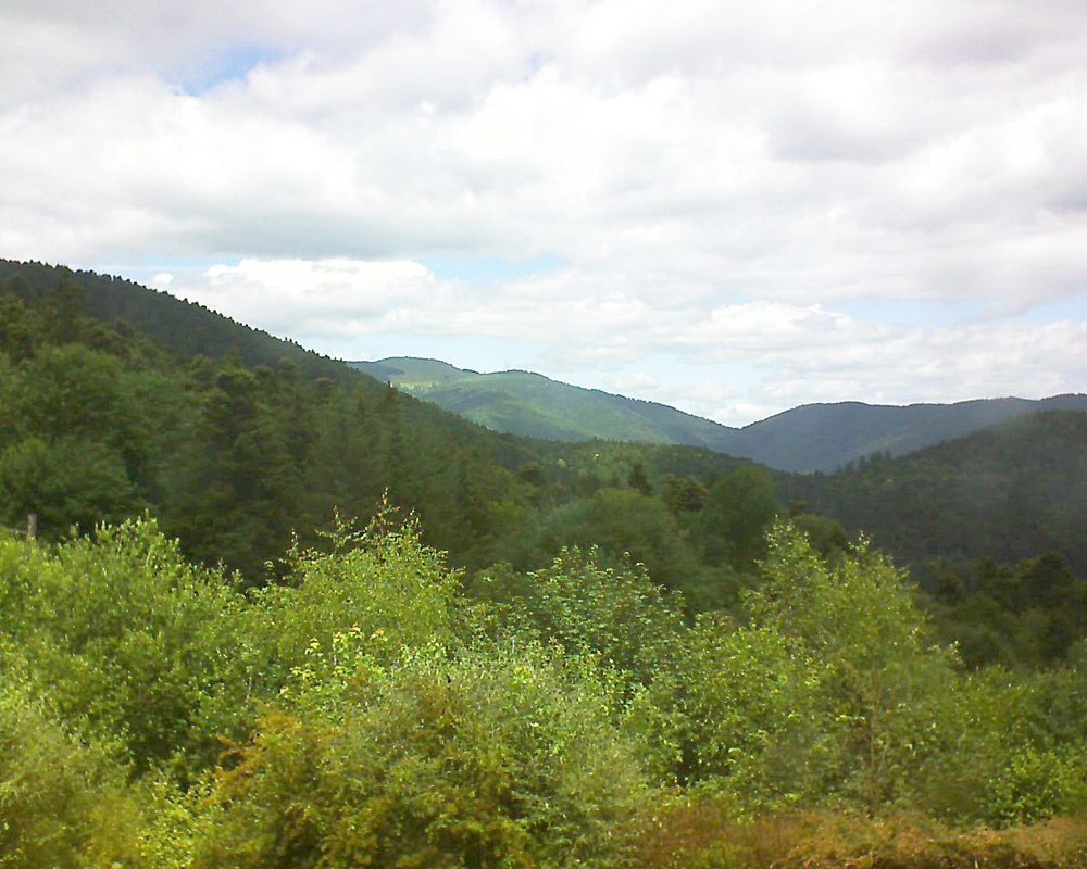 Le petit ballon vu depuis le Domaine Langmatt à Murbach le 22.06.2018 à 13:15 Le petit ballon (Alsace, Vosges) le 22.06.2018 à 13:15