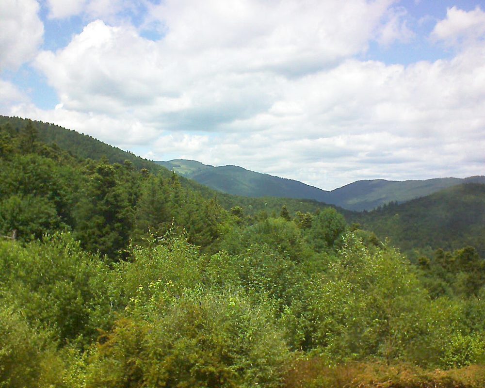 Le petit ballon vu depuis le Domaine Langmatt à Murbach le 22.06.2018 à 14:00 Le petit ballon (Alsace, Vosges) le 22.06.2018 à 14:00