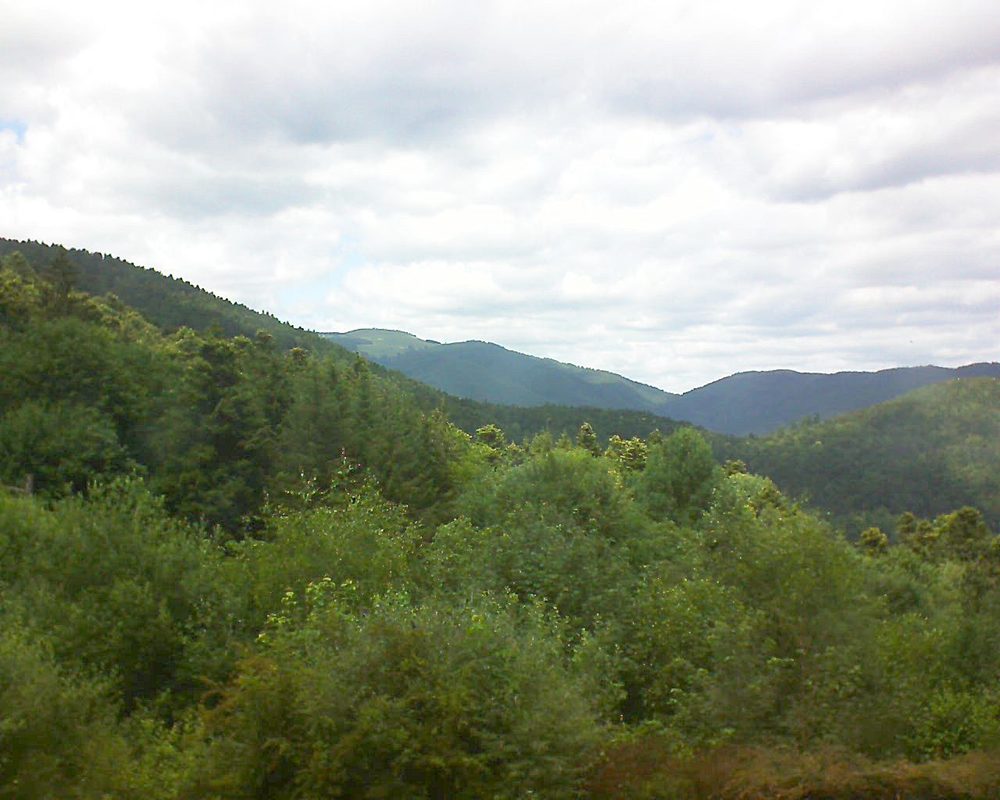 Le petit ballon vu depuis le Domaine Langmatt à Murbach le 22.06.2018 à 14:15 Le petit ballon (Alsace, Vosges) le 22.06.2018 à 14:15