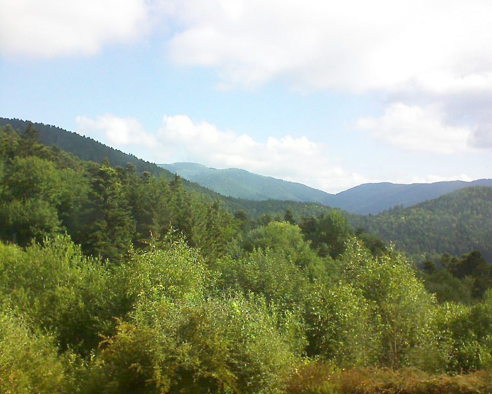 Le petit ballon vu depuis le Domaine Langmatt à Murbach le 23.06.2018 à 09:15 Le petit ballon (Alsace, Vosges) le 23.06.2018 à 09:15