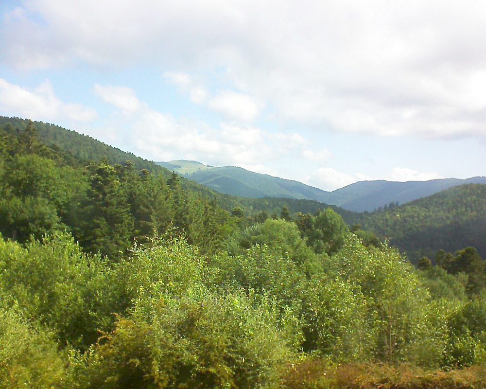 Le petit ballon vu depuis le Domaine Langmatt à Murbach le 23.06.2018 à 10:00 Le petit ballon (Alsace, Vosges) le 23.06.2018 à 10:00