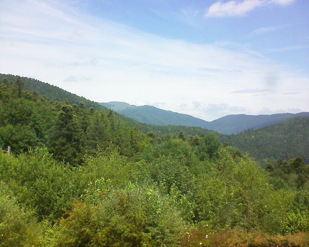 Le petit ballon vu depuis le Domaine Langmatt à Murbach le 24.06.2018 à 12:45 Le petit ballon (Alsace, Vosges) le 24.06.2018 à 12:45