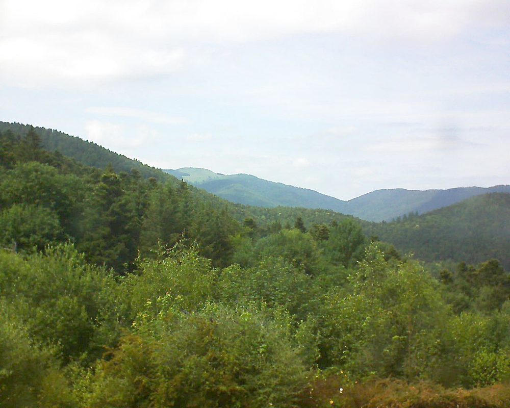 Le petit ballon vu depuis le Domaine Langmatt à Murbach le 24.06.2018 à 15:15 Le petit ballon (Alsace, Vosges) le 24.06.2018 à 15:15