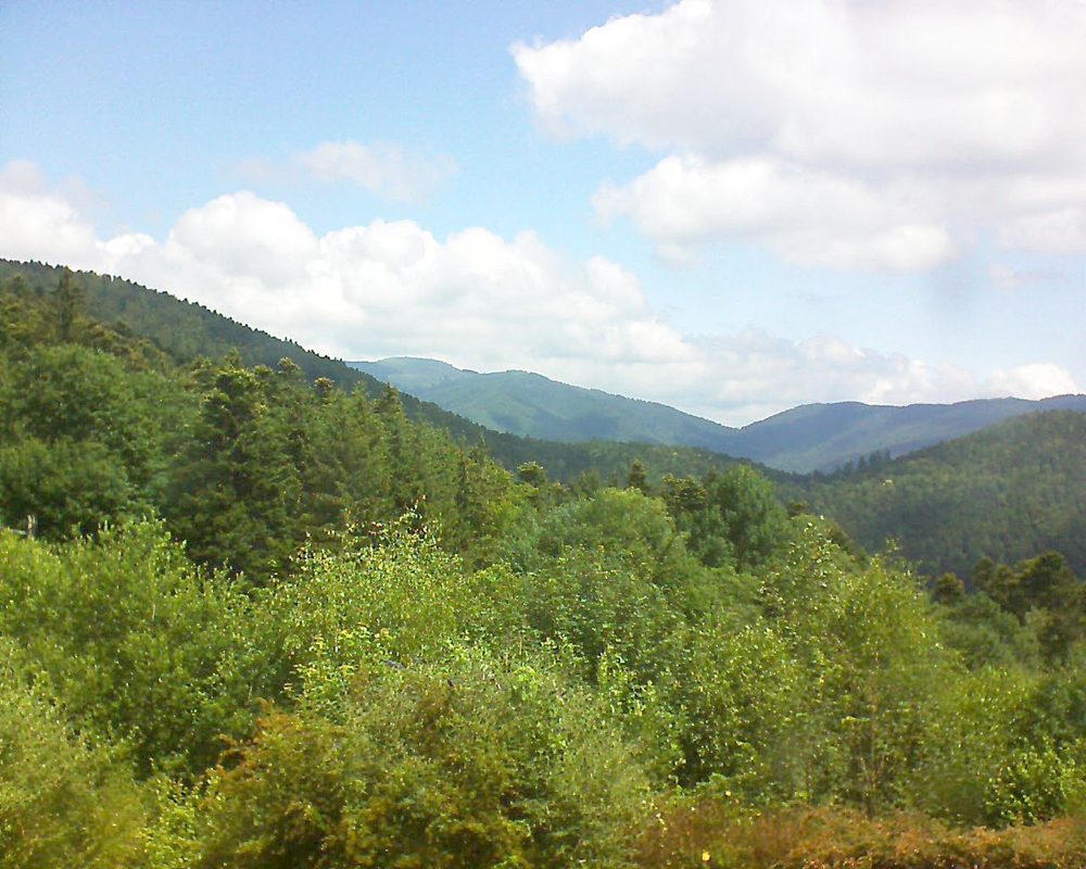 Le petit ballon vu depuis le Domaine Langmatt à Murbach le 25.06.2018 à 11:45 Le petit ballon (Alsace, Vosges) le 25.06.2018 à 11:45