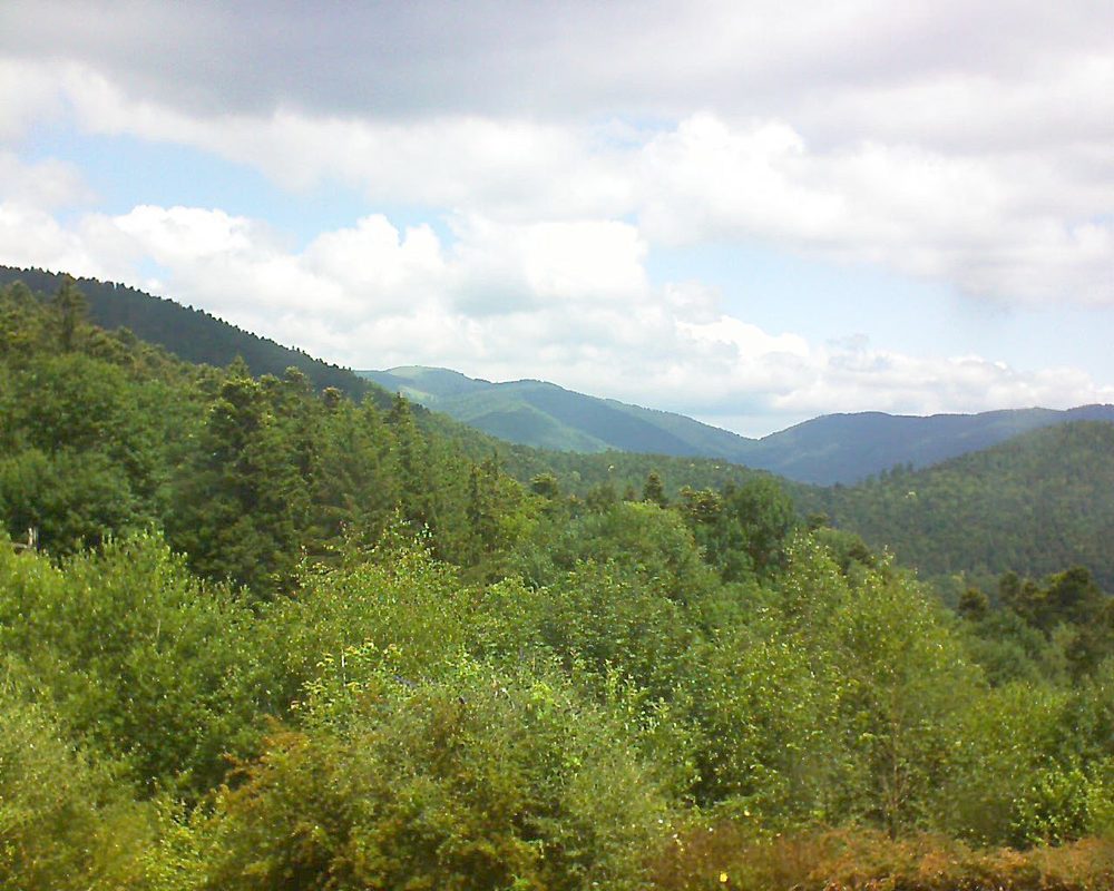 Le petit ballon vu depuis le Domaine Langmatt à Murbach le 25.06.2018 à 12:00 Le petit ballon (Alsace, Vosges) le 25.06.2018 à 12:00