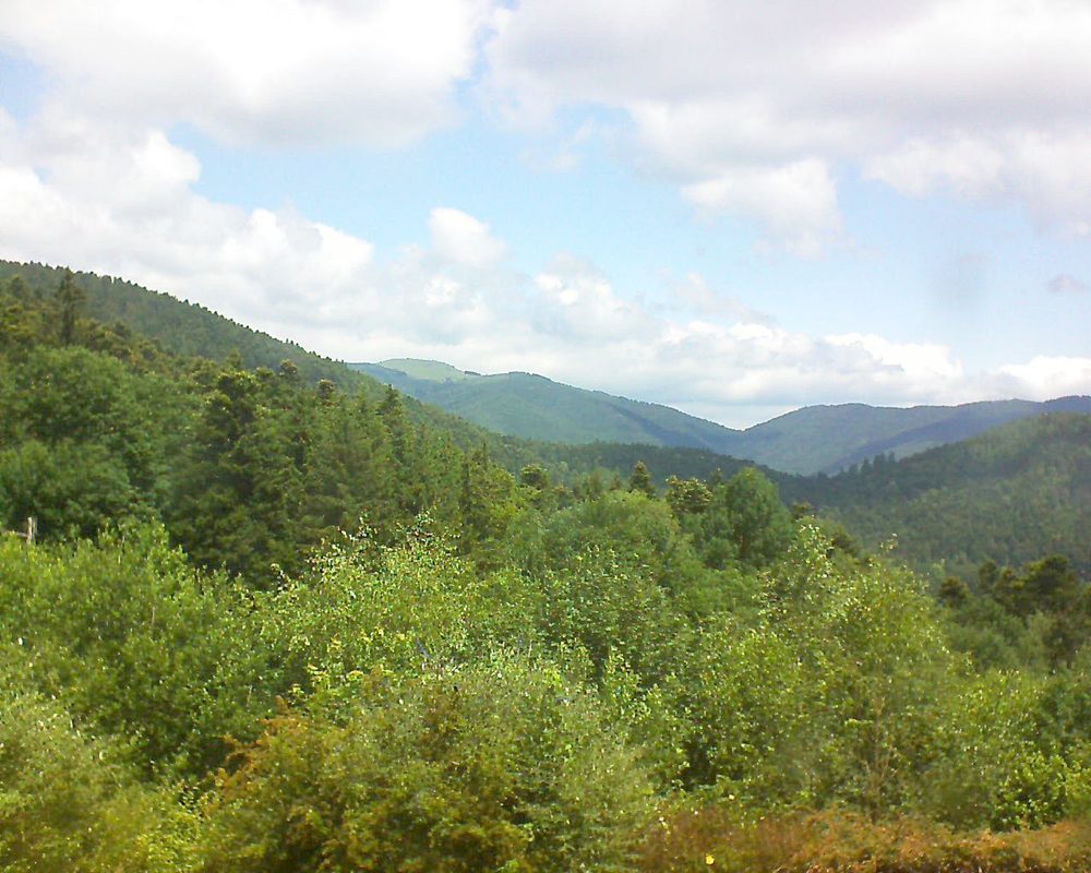 Le petit ballon vu depuis le Domaine Langmatt à Murbach le 25.06.2018 à 12:15 Le petit ballon (Alsace, Vosges) le 25.06.2018 à 12:15