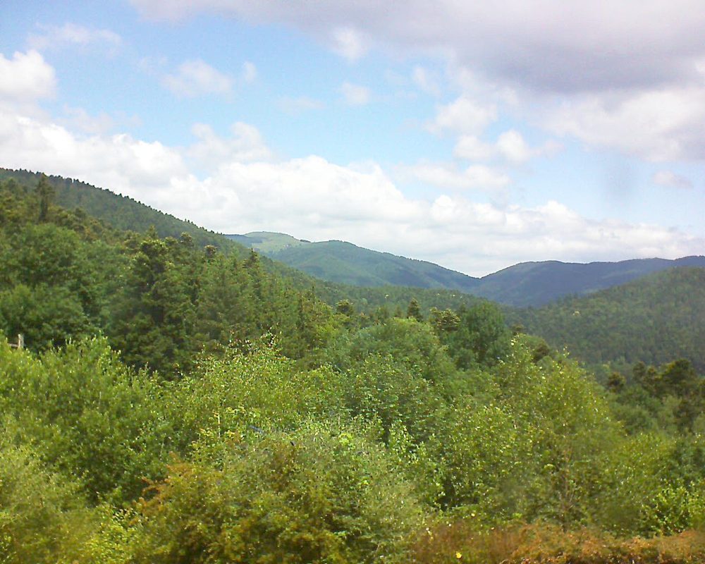 Le petit ballon vu depuis le Domaine Langmatt à Murbach le 25.06.2018 à 12:30 Le petit ballon (Alsace, Vosges) le 25.06.2018 à 12:30