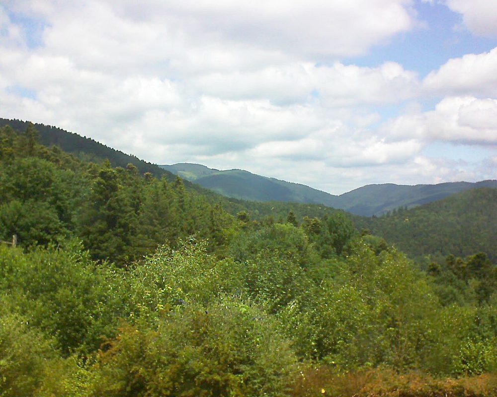 Le petit ballon vu depuis le Domaine Langmatt à Murbach le 25.06.2018 à 13:00 Le petit ballon (Alsace, Vosges) le 25.06.2018 à 13:00
