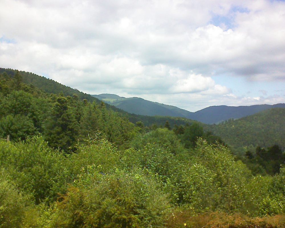 Le petit ballon vu depuis le Domaine Langmatt à Murbach le 25.06.2018 à 13:15 Le petit ballon (Alsace, Vosges) le 25.06.2018 à 13:15