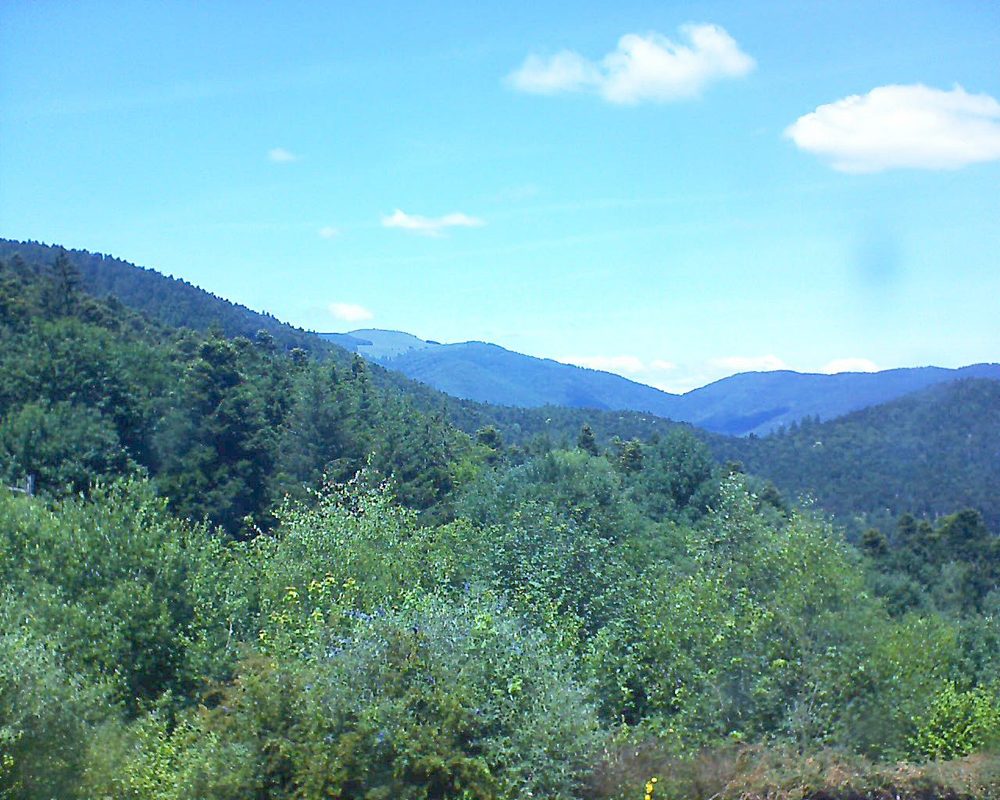 Le petit ballon vu depuis le Domaine Langmatt à Murbach le 26.06.2018 à 14:15 Le petit ballon (Alsace, Vosges) le 26.06.2018 à 14:15