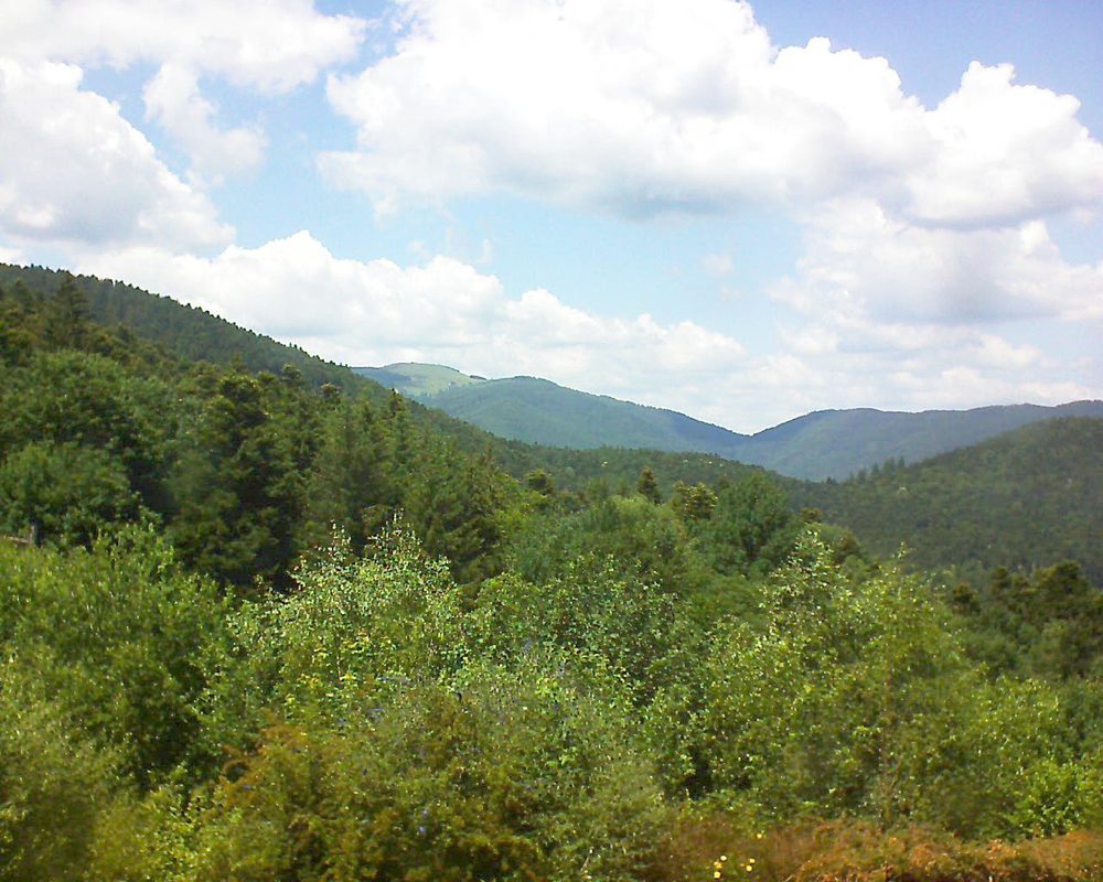 Le petit ballon vu depuis le Domaine Langmatt à Murbach le 27.06.2018 à 14:30 Le petit ballon (Alsace, Vosges) le 27.06.2018 à 14:30
