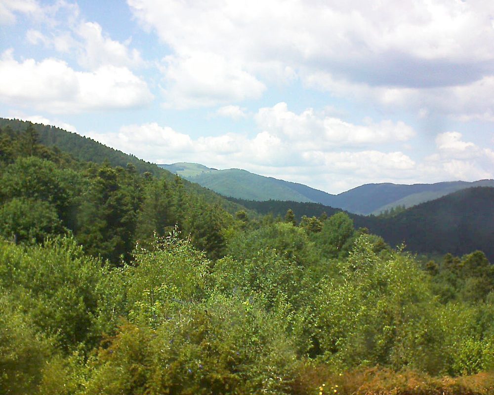 Le petit ballon vu depuis le Domaine Langmatt à Murbach le 27.06.2018 à 15:00 Le petit ballon (Alsace, Vosges) le 27.06.2018 à 15:00