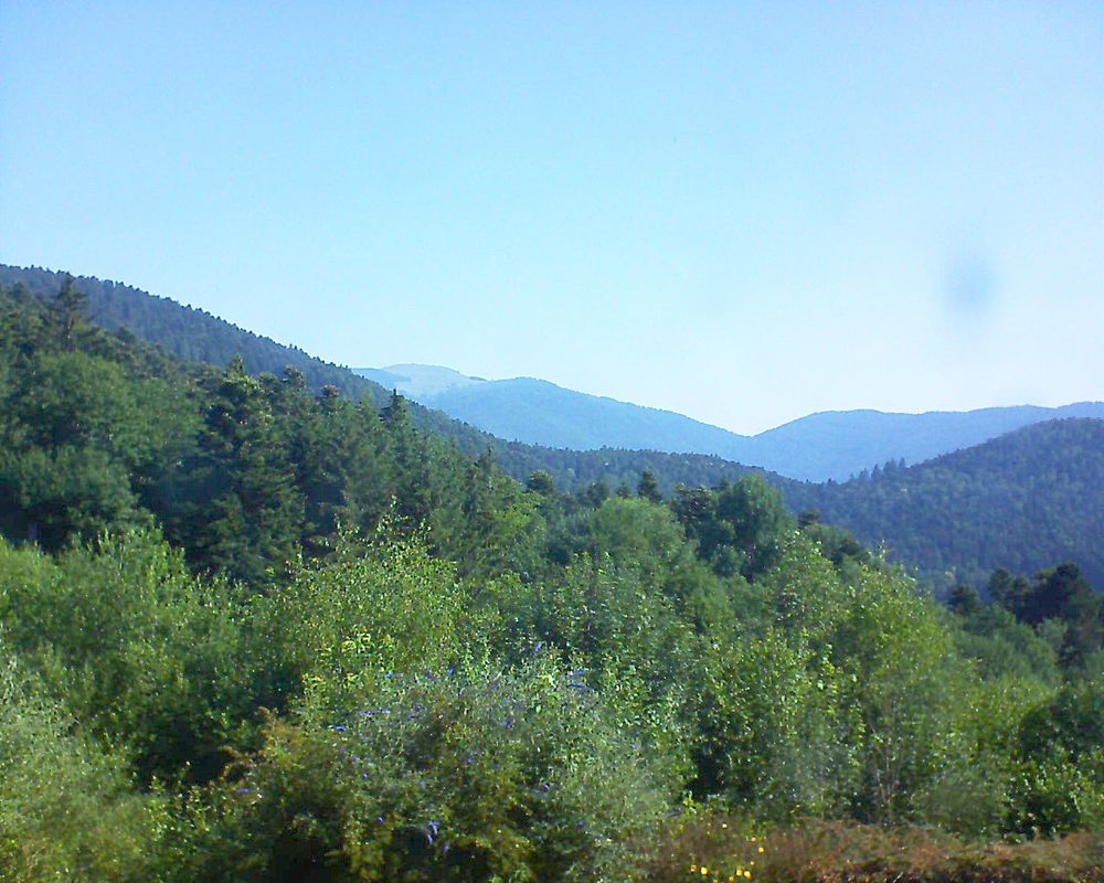 Le petit ballon vu depuis le Domaine Langmatt à Murbach le 30.06.2018 à 09:45 Le petit ballon (Alsace, Vosges) le 30.06.2018 à 09:45