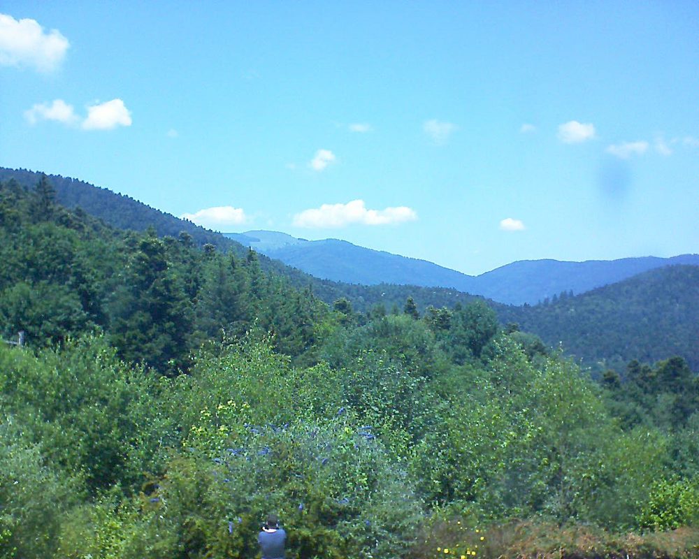 Le petit ballon vu depuis le Domaine Langmatt à Murbach le 30.06.2018 à 13:45 Le petit ballon (Alsace, Vosges) le 30.06.2018 à 13:45