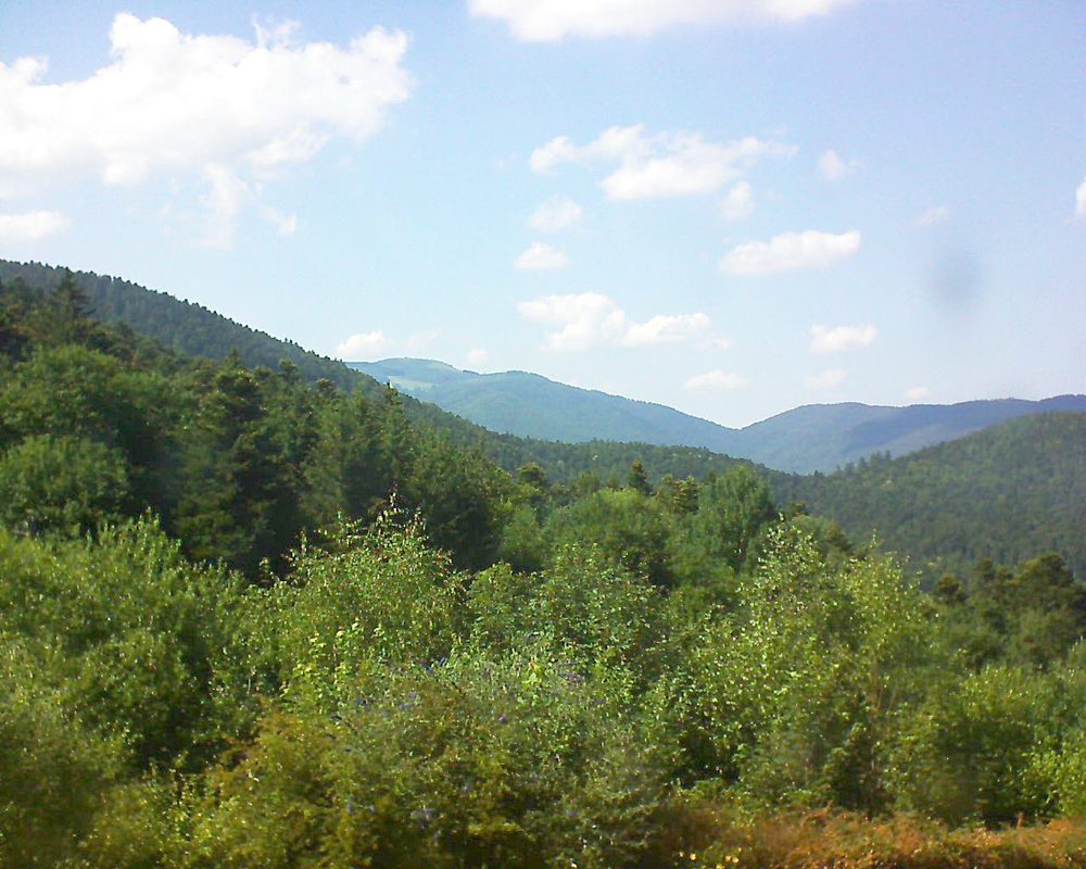 Le petit ballon vu depuis le Domaine Langmatt à Murbach le 30.06.2018 à 16:30 Le petit ballon (Alsace, Vosges) le 30.06.2018 à 16:30
