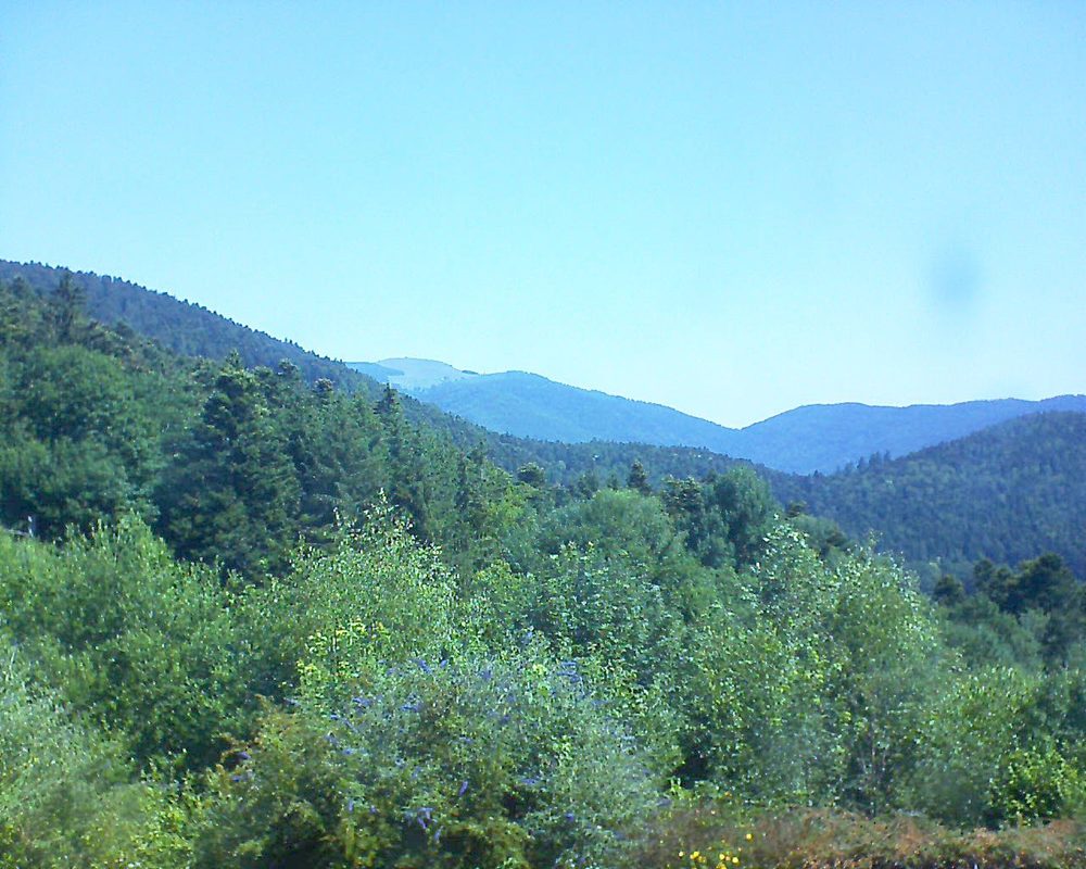 Le petit ballon vu depuis le Domaine Langmatt à Murbach le 01.07.2018 à 11:15 Le petit ballon (Alsace, Vosges) le 01.07.2018 à 11:15