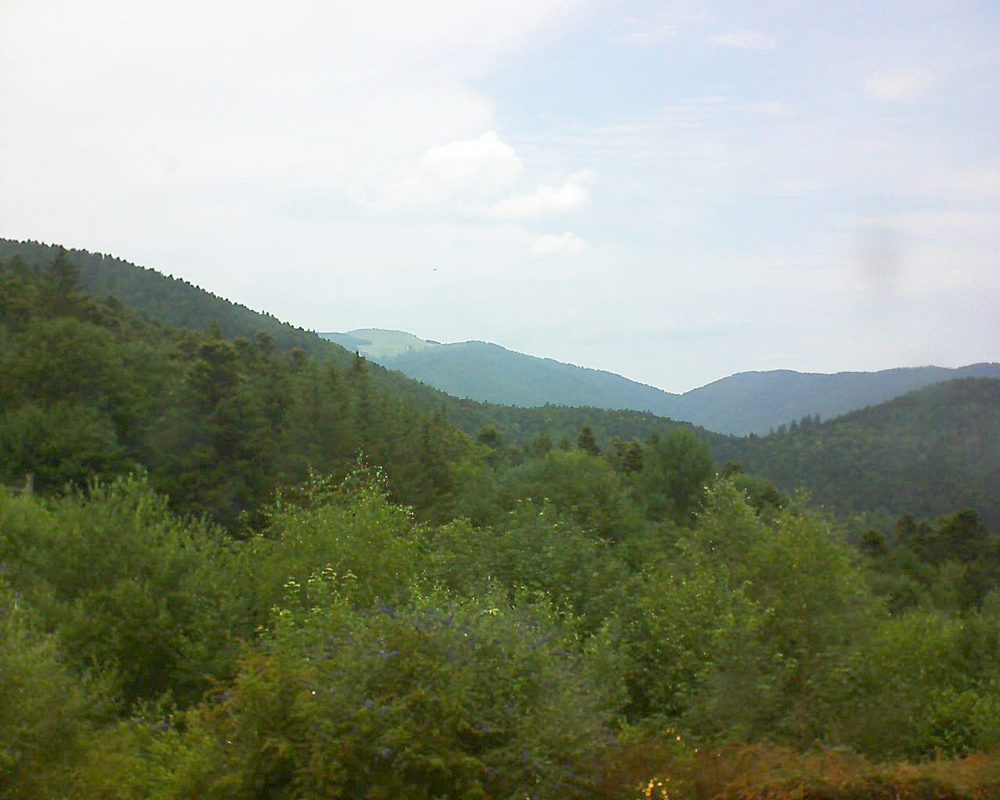 Le petit ballon vu depuis le Domaine Langmatt à Murbach le 03.07.2018 à 13:45 Le petit ballon (Alsace, Vosges) le 03.07.2018 à 13:45
