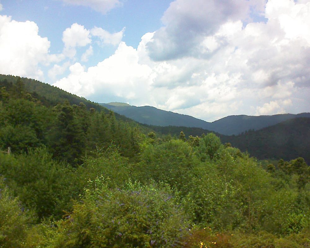 Le petit ballon vu depuis le Domaine Langmatt à Murbach le 04.07.2018 à 13:15 Le petit ballon (Alsace, Vosges) le 04.07.2018 à 13:15