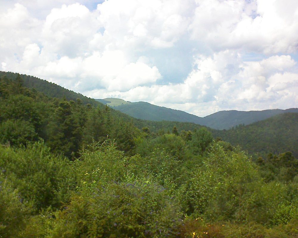 Le petit ballon vu depuis le Domaine Langmatt à Murbach le 04.07.2018 à 14:45 Le petit ballon (Alsace, Vosges) le 04.07.2018 à 14:45
