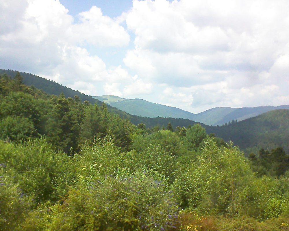 Le petit ballon vu depuis le Domaine Langmatt à Murbach le 06.07.2018 à 15:00 Le petit ballon (Alsace, Vosges) le 06.07.2018 à 15:00