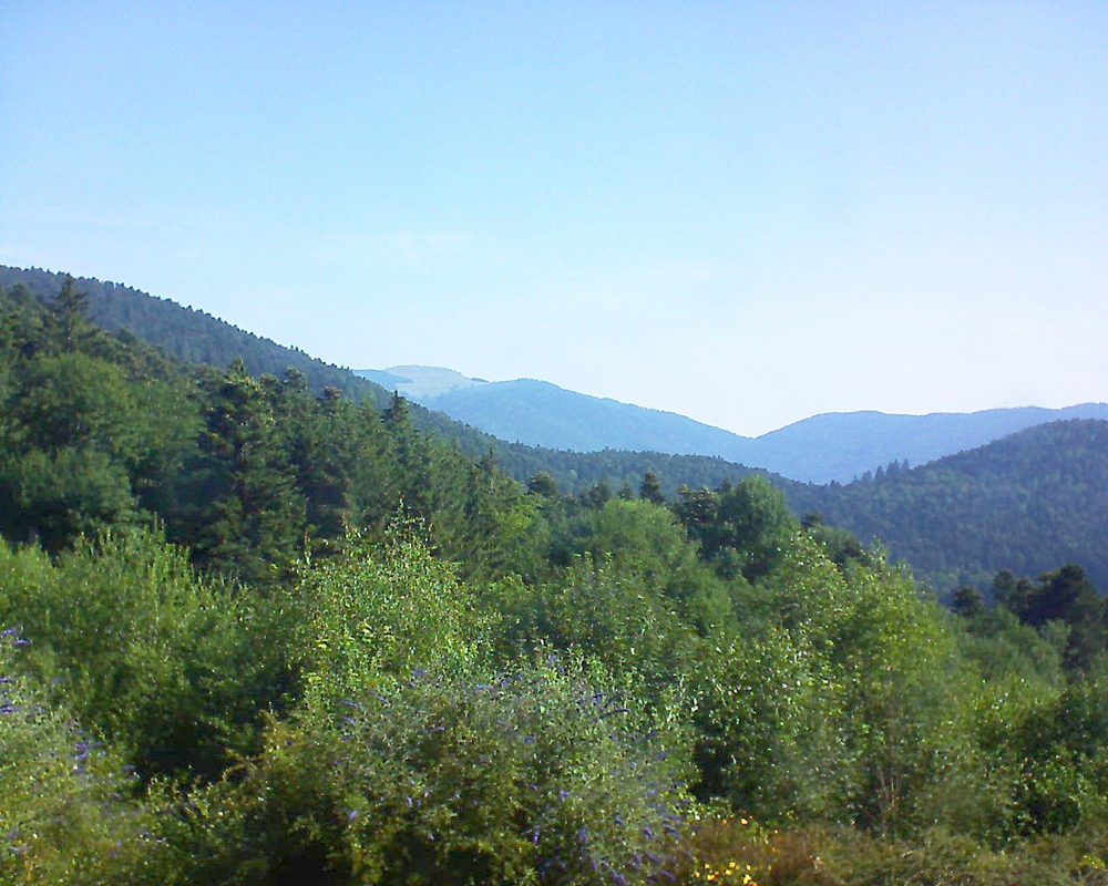 Le petit ballon vu depuis le Domaine Langmatt à Murbach le 07.07.2018 à 09:30 Le petit ballon (Alsace, Vosges) le 07.07.2018 à 09:30