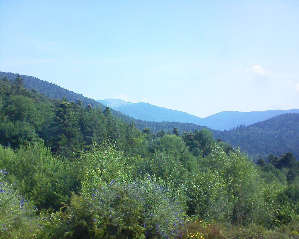 Le petit ballon vu depuis le Domaine Langmatt à Murbach le 07.07.2018 à 10:15 Le petit ballon (Alsace, Vosges) le 07.07.2018 à 10:15