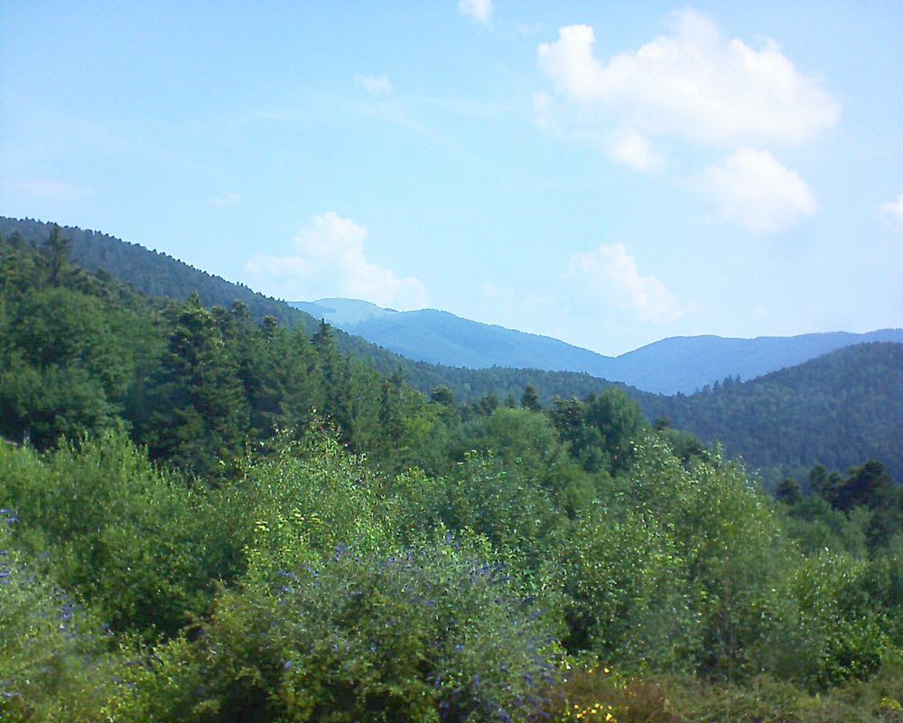 Le petit ballon vu depuis le Domaine Langmatt à Murbach le 07.07.2018 à 10:45 Le petit ballon (Alsace, Vosges) le 07.07.2018 à 10:45