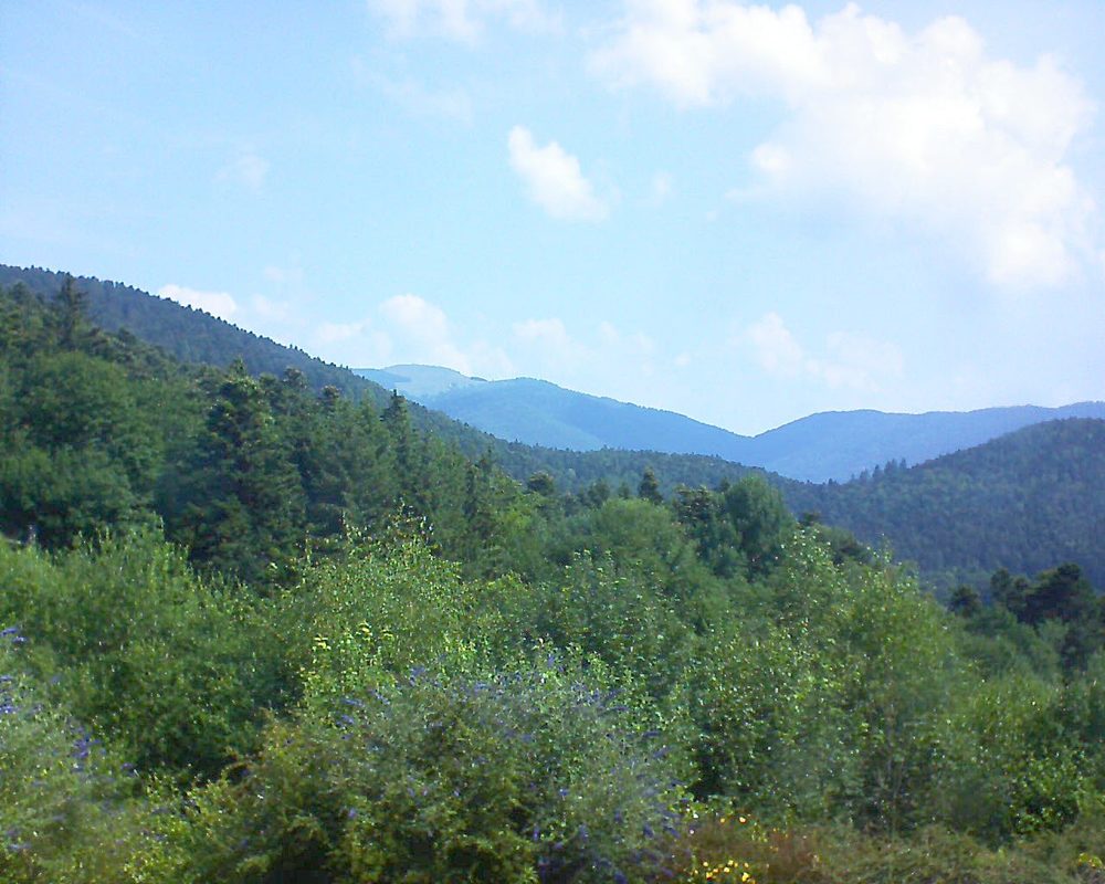 Le petit ballon vu depuis le Domaine Langmatt à Murbach le 07.07.2018 à 11:00 Le petit ballon (Alsace, Vosges) le 07.07.2018 à 11:00