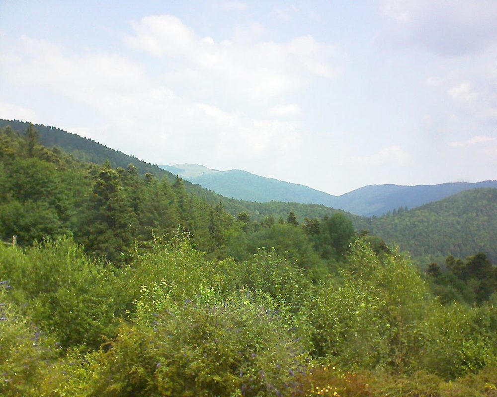 Le petit ballon vu depuis le Domaine Langmatt à Murbach le 07.07.2018 à 12:00 Le petit ballon (Alsace, Vosges) le 07.07.2018 à 12:00