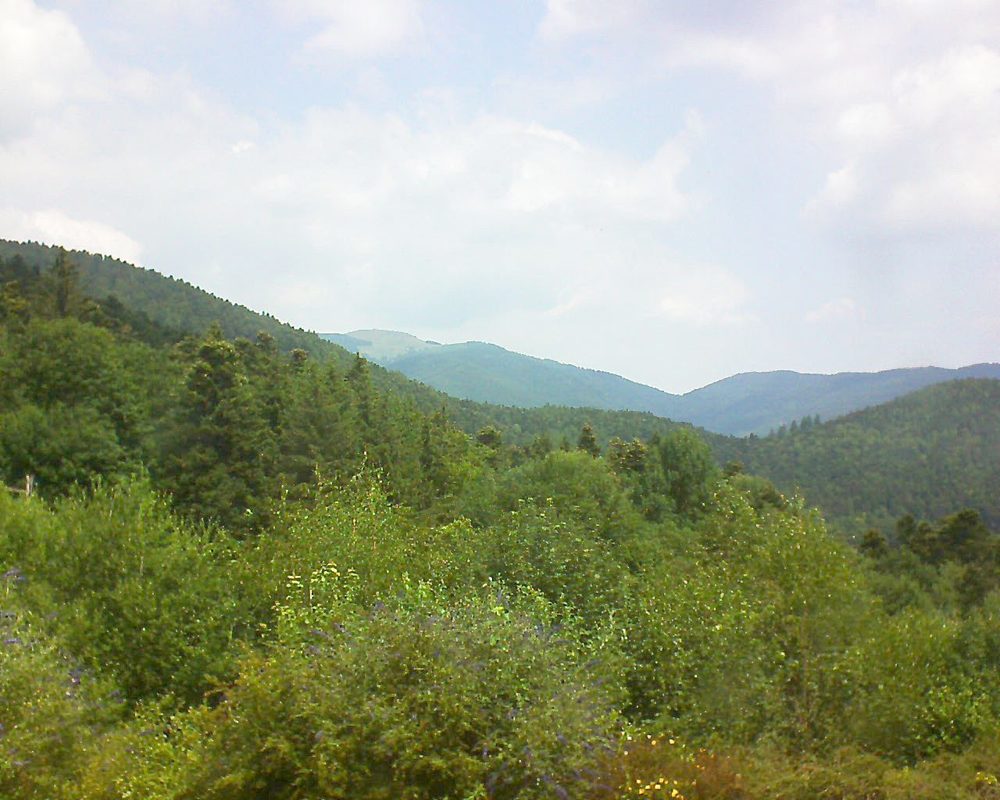 Le petit ballon vu depuis le Domaine Langmatt à Murbach le 07.07.2018 à 12:15 Le petit ballon (Alsace, Vosges) le 07.07.2018 à 12:15