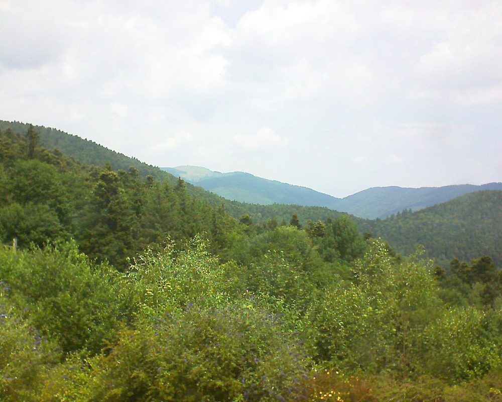 Le petit ballon vu depuis le Domaine Langmatt à Murbach le 07.07.2018 à 12:30 Le petit ballon (Alsace, Vosges) le 07.07.2018 à 12:30