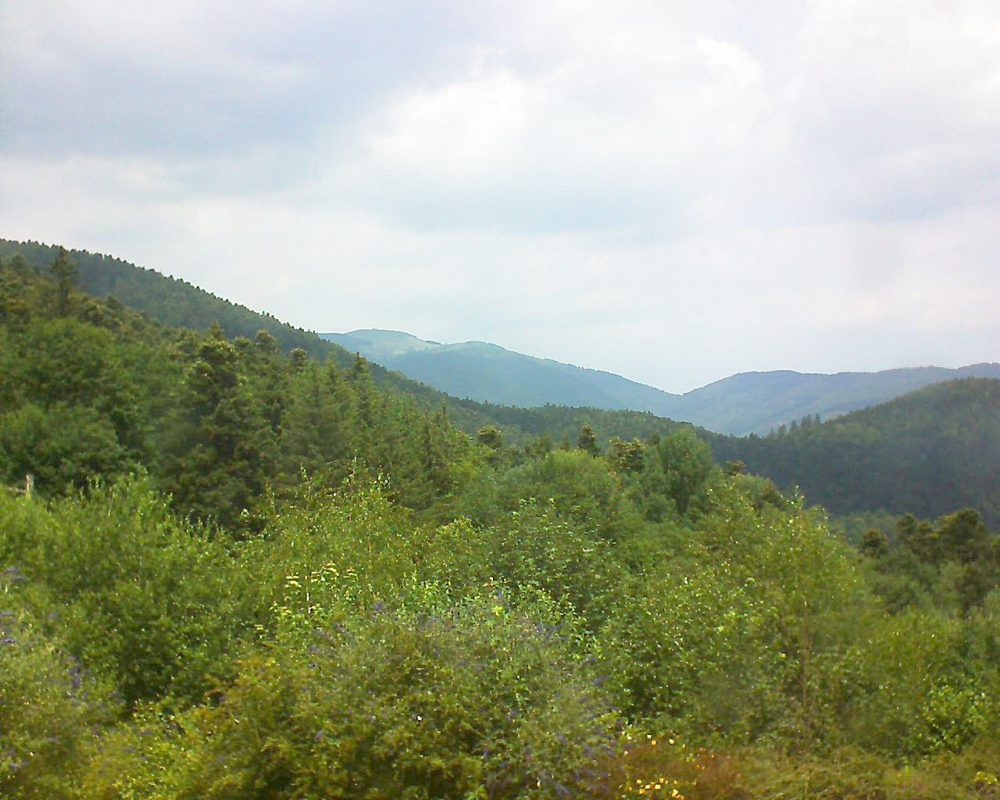 Le petit ballon vu depuis le Domaine Langmatt à Murbach le 07.07.2018 à 13:00 Le petit ballon (Alsace, Vosges) le 07.07.2018 à 13:00