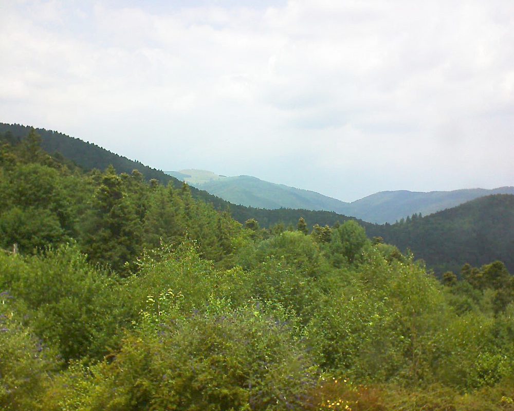 Le petit ballon vu depuis le Domaine Langmatt à Murbach le 07.07.2018 à 13:15 Le petit ballon (Alsace, Vosges) le 07.07.2018 à 13:15