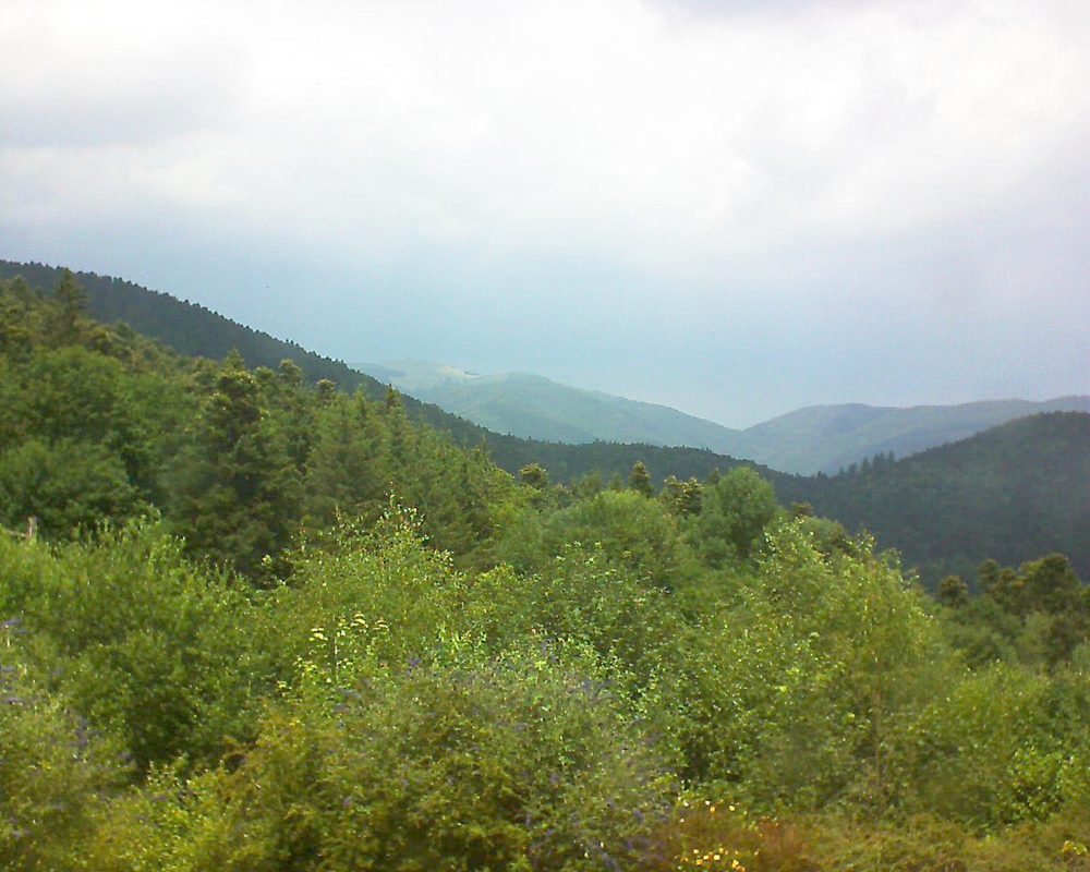 Le petit ballon vu depuis le Domaine Langmatt à Murbach le 07.07.2018 à 13:30 Le petit ballon (Alsace, Vosges) le 07.07.2018 à 13:30